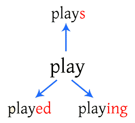 'Play' becomes 'plays,' 'playing,' and 'played.'